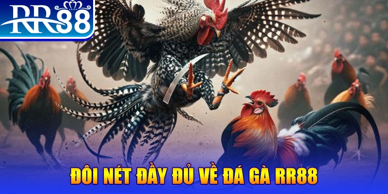 ee88 gà chọi hoà phong