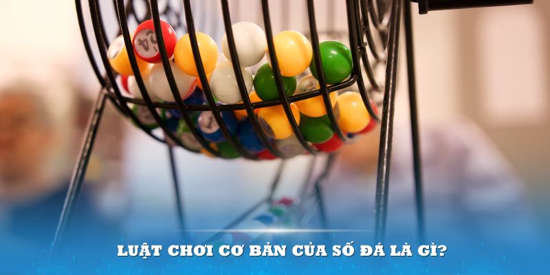 Đĩa màu ace