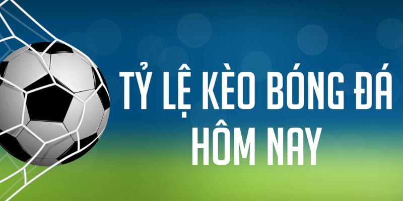ÁT CHỦ MÁY HOA QUẢ THẦN TÀI