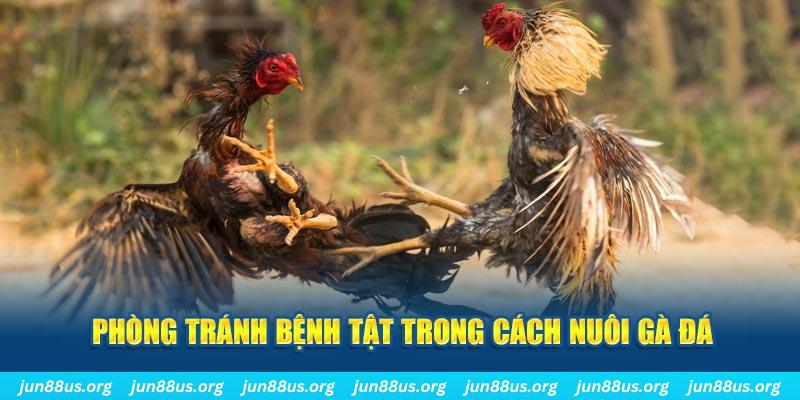 ee88 natural” trong baccarat nghĩa là gì？